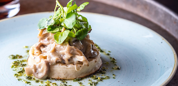 pcp-ln20-html-image-mushroomcrumpet-14.jpg